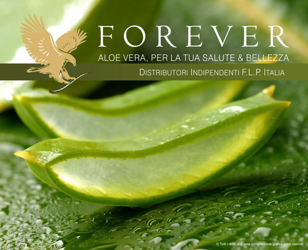 kikom studio grafico foligno perugia umbria aloe vera forever